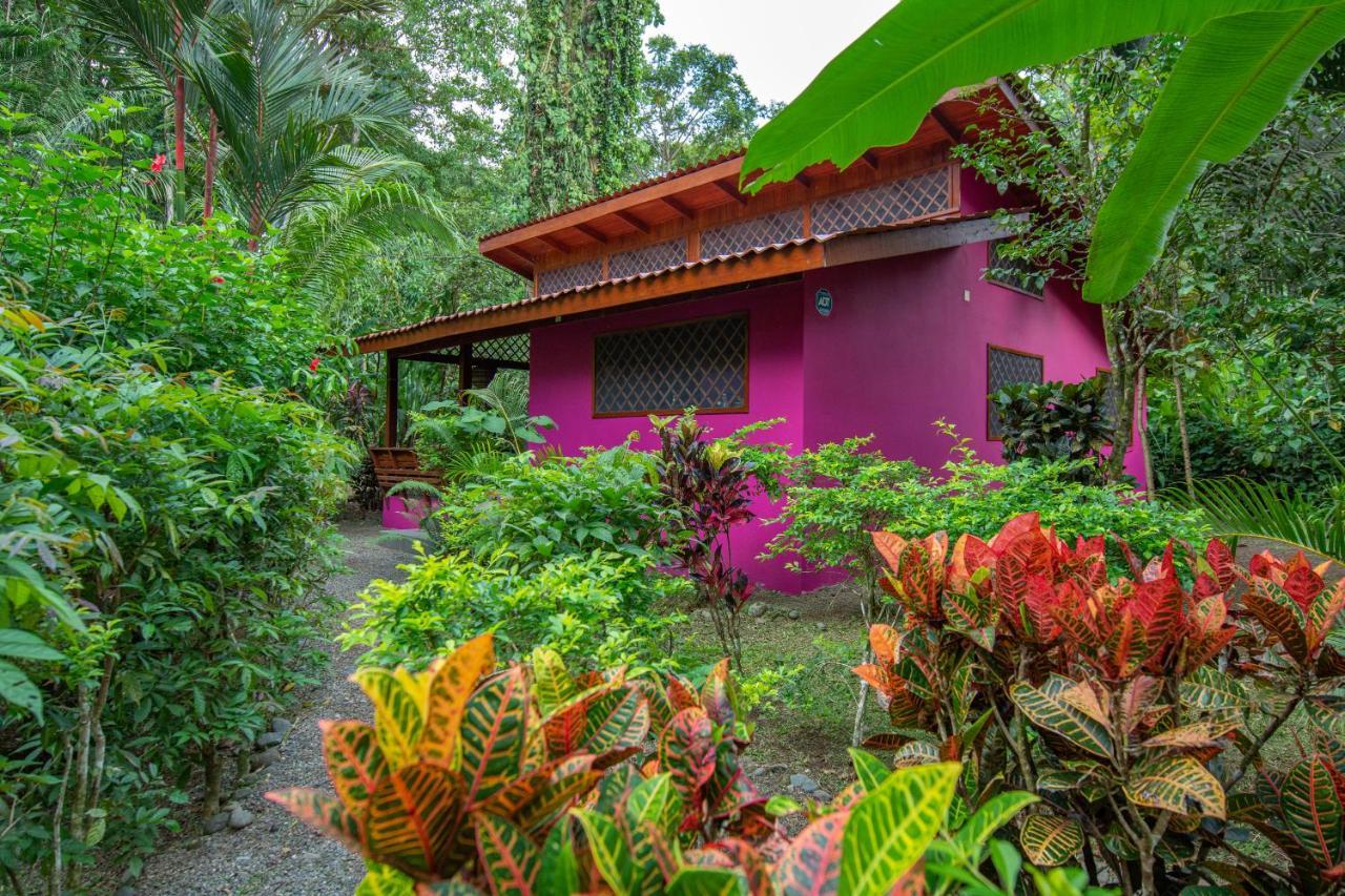 Villa Pina Dorada Dependencia Del Hotel Casa Merlin Puerto Viejo de Talamanca Екстериор снимка