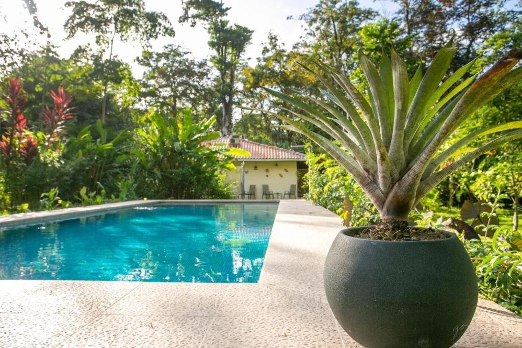 Villa Pina Dorada Dependencia Del Hotel Casa Merlin Puerto Viejo de Talamanca Екстериор снимка